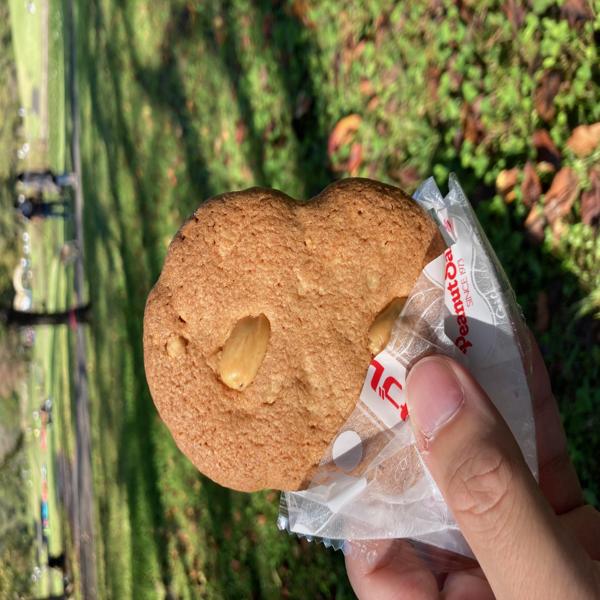 Fond Memories with Peanut Sable