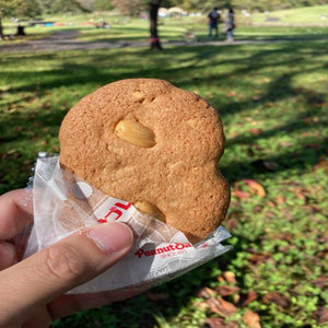 Fond Memories with Peanut Sable